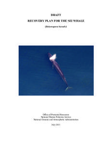 2011 Draft Recovery Plan for the Sei Whale (Balaenoptera borealis)