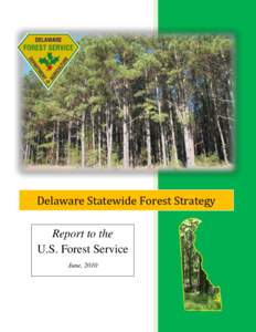 Statewide Forest Strategy