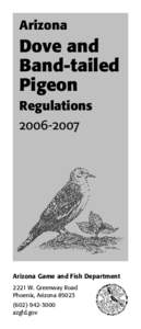 Arizona  Dove and Band-tailed Pigeon Regulations