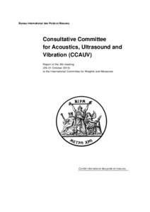 CCAUV: Report of the 9th meeting (2013)