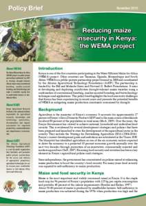 Policy Brief  November 2010 Reducing maize insecurity in Kenya: