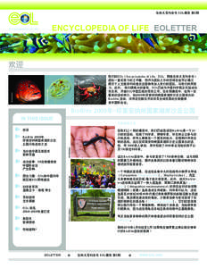 生命大百科全书 EOL通讯 第5期  ENCYCLOPEDIA OF LIFE EOLETTER Andy Jones,