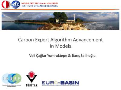 Carbon Export Algorithm Advancement in Models