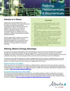 Refining, Petrochemicals and Biochemicals Industry Profile