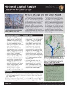 Urban studies and planning / Land management / Earth / Conservation in the United States / Trees / Urban forest / Casey Trees / Forest / National Park Service / Environment / Forestry / Environmental design