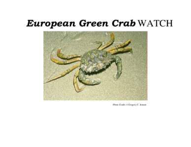 European Green Crab WATCH  Photo Credit: © Gregory C. Jensen The European Green Crab European green crabs (Carcinus maenas) may pose a serious threat to the estuarine