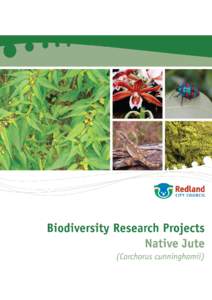 1. Introduction The purpose of this report is to detail findings associated with a baseline study of Corchorus cunninghamii including data collection; research and monitoring from the period of June 2007 to April 2008. 