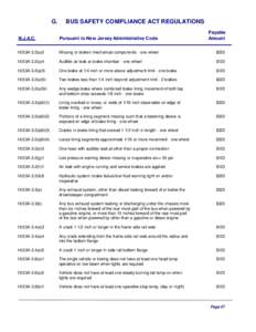 G.  BUS SAFETY COMPLIANCE ACT REGULATIONS N.J.A.C.