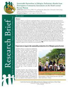 Sustainable Pastoralism in Ethiopia: Preliminary Results from Participatory Community Assessments on the North-central Borana Plateau Research Brief