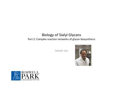 Biology of Sialyl Glycans Part 2: Complex reaction networks of glycan biosynthesis Joseph Lau  Overview