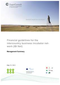 fg  Financial guidelines for the intercountry business incubator network (IBI Net) Management Summary
