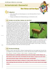 Als Wildpark-Detektiv unterwegs  Arbeitsblatt: Damwild Aufgaben 1. Schau Dir das Bild vom Damwild genau an und informiere Dich im Text A1
