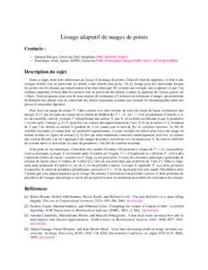 Lissage adaptatif de nuages de points Contacts : — Quentin M´erigot, Universit´e Paris-Dauphine (http://quentin.mrgt.fr) — Dominique Attali, e´ quipe AGPIG, Gipsa-lab (http://www.gipsa-lab.grenoble-inp.fr/∼domin