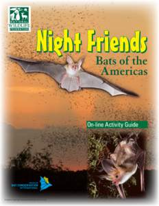 Night Friends Bats of the Americas On-line Activity Guide