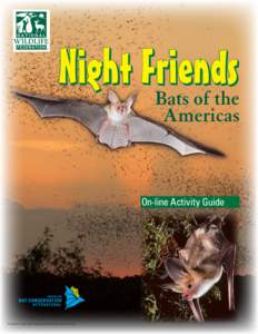 Pollinators / Microbat / Vampire bat / Leaf-nosed bat / Megabat / Animal echolocation / Pallid bat / Pteropus / Merlin Tuttle / Bats / Vesper bats / Animal flight