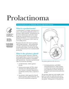Prolactinoma  National Endocrine and Metabolic Diseases Information Service What is a prolactinoma? U.S. Department