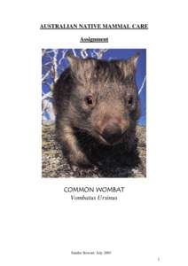 AUSTRALIAN NATIVE MAMMAL CARE Assignment COMMON WOMBAT Vombatus Ursinus