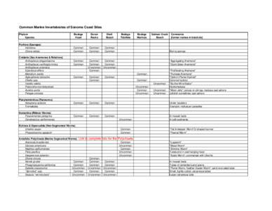 Common Marine Invertebrates of Sonoma Coast Sites Phylum Species Bodega Head