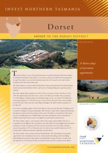 Invest Northern Tasm ania  Dor set Invest in the Dorset DISTRICT Auspine Sawmill, Scottsdale