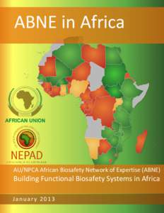 ABNE in Africa  AU/NPCA African Biosafety Network of Expertise (ABNE) Building Functional Biosafety Systems in Africa January 2013