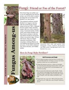 Fungi: Friend or Foe of the Forest?  Fungus Among-us GLACIER BAY NATIONAL PARK & PRESERVE