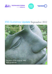 IRIS Guidelines Update September[removed]Revision of the original 1998