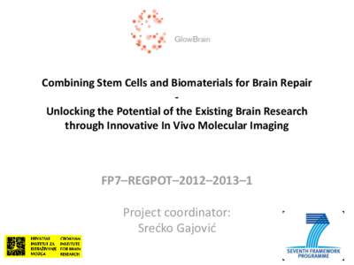 Combining Stem Cells and Biomaterials for Brain Repair Unlocking the Potential of the Existing Brain Research through Innovative In Vivo Molecular Imaging FP7–REGPOT–2012–2013–1 Project coordinator: