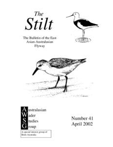 Coastline of Western Australia / Kimberley / Australasian Wader Studies Group / Clive Minton / Stilt / Eighty Mile Beach / East Asian – Australasian Flyway / Roebuck Bay / Cannon-netting / Ornithology / Geography of Australia / Geography of Western Australia