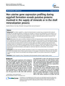 Exploring the gonad transcriptome of two extreme male pigs with RNA-seq