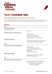 BBC BP Schools Curriculum Links Term 3