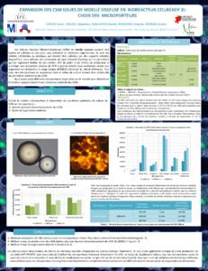 EXPANSION DES CSM ISSUES DE MOELLE OSSEUSE EN BIOREACTEUR CELLREADY 3L: CHOIX DES MICROPORTEURS CHOUK Sonia , MICHEL Sébastien, EGELHOFER Harald, PERSOONS Virginie, MOISAN Anaïck Unité de Thérapie et d’Ingénierie 