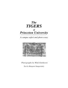 The  TIGERS of  Princeton University