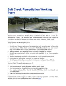 Salt Creek Remediation Working Party The Salt Creek Remediation Working Party was formed in May 2013 as a result of a resolution of Council. The resolution was passed following requests from a group of community members 