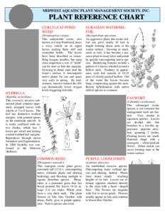 MAPMS sheet Plant ID 1 Draft 4