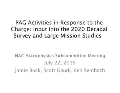 PAG Activities in Response to the Charge: Input into the 2020 Decadal Survey and Large Mission Studies NAC Astrophysics Subcommittee Meeting