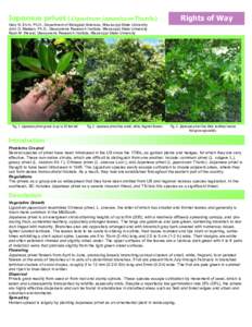 Privet / Ecology / L. vulgare / Herbicide / Ligustrum / Botany / Biology