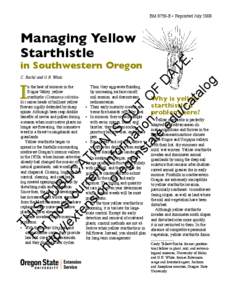 Managing Yellow Starthistle in Southwestern Oregon