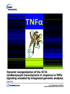 NF-κB / Transcriptome / RNA polymerase I / Tumor necrosis factor-alpha / Long non-coding RNA / Transcription / RNA polymerase / MicroRNA / Nuclear run-on / Biology / RNA / Gene expression