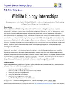 Necedah National Wildlife Refuge U.S. Fish & Wildlife Service Wildlife Biology Internships Gain experience with the U.S. Fish and Wildlife while working to understand the breeding ecology of the endangered whooping crane