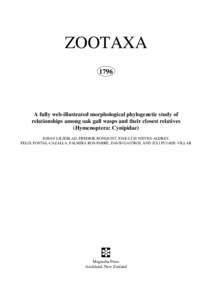 ZOOTAXA 1796 A fully web-illustrated morphological phylogenetic study of relationships among oak gall wasps and their closest relatives (Hymenoptera: Cynipidae)