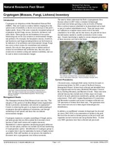 Mycology / Symbiosis / Bioindicators / Lichen / Allen C. Skorepa / Biology / Microbiology / Cryptogams