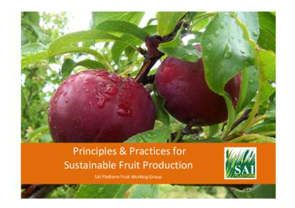 Principles & Practices for Sustainable Fruit Production SAI Platform Fruit Working Group Principles and Practices for Sustainable Fruit Production (versionFarmers aim to ensure that the safety and quality of thei