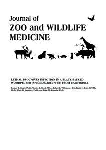 LETHAL PROCYRNEA INFECTION IN A BLACK-BACKED WOODPECKER (PICOIDES ARCTICUS) FROM CALIFORNIA Rodney B. Siegel, Ph.D., Monica L. Bond, M.Sc., Robert L. Wilkerson, B.S., Bradd C. Barr, D.V.M., Ph.D., Chris H. Gardiner, Ph.D