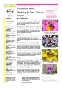 15_Gardening_Summer_1col_infosheet