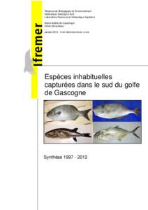 Ressources Biologiques et Environnement Halieutique Gascogne Sud Laboratoire Ressources Halieutique Aquitaine Marie-Noëlle de Casamajor Gilles Morandeau ....