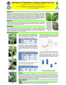 Mechanism of Resistance to Banana Bunchy Top Virus F. M. Dela Cueva1, C.B. Pascual1, E.G. Dinglasan1, M.A.O. Balendres1, and A.B. Molina2 1 Institute of Plant Breeding, Crop Science Cluster, College of Agriculture, Unive