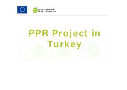 PPR Project in Turkey PPR is endemic in Turkey PPR became a compulsory notifiable disease with Law No.