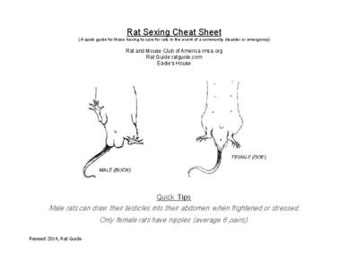 Rat Sexing Cheat Sheet (A quick guide for those having to care for rats in the event of a community disaster or emergency) Rat and Mouse Club of America rmca.org Rat Guide ratguide.com Eadie’s House