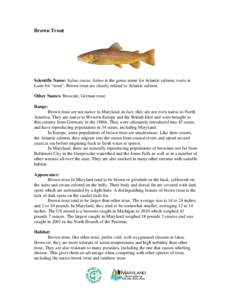 Brown Trout  Scientific Name: Salmo trutta; Salmo is the genus name for Atlantic salmon, trutta is Latin for “trout”. Brown trout are closely related to Atlantic salmon. Other Names: Brownie, German trout Range: