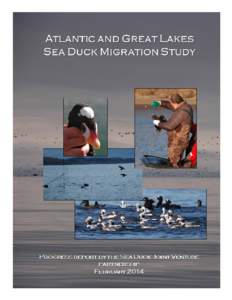Atlantic and Great Lakes Sea Duck Migration Study Progress Report February 2014 Sea Duck Joint Venture  February 10, 2014